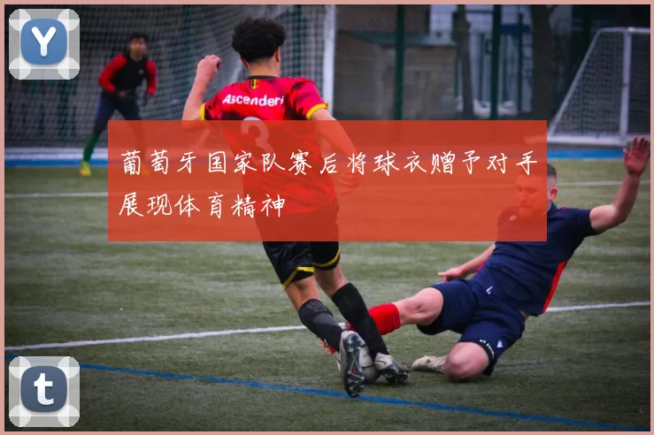 葡萄牙国家队赛后将球衣赠予对手展现体育精神