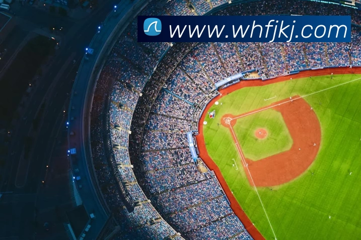 多媒体互动体验